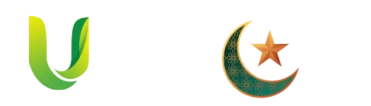 Logo MoMo